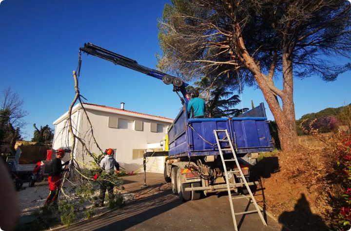 Gs Paysage Entretien Jardin Et Parc Puget Sur Argens Abattage Elagage 2 1